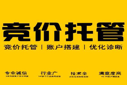 百度竞价优化技巧：成功案例分享